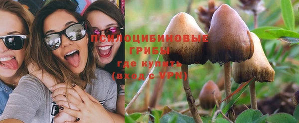 таблы Няндома